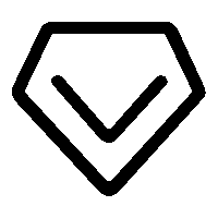 Professional Manufacturer